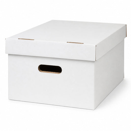 Short Comic Storage Box